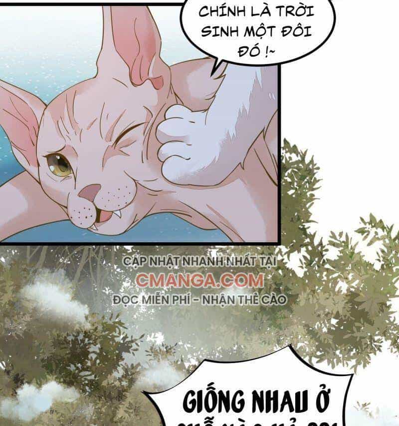 Sát Thủ Vương Phi Không Dễ Chọc - Chương 57 - ảnh 49