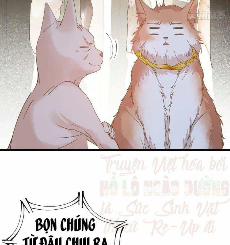 Sát Thủ Vương Phi Không Dễ Chọc - Chương 57 - ảnh 52