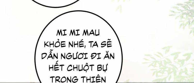 Sát Thủ Vương Phi Không Dễ Chọc - Chương 65 - ảnh 46
