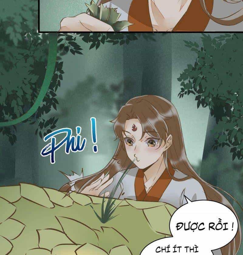 Sát Thủ Vương Phi Không Dễ Chọc - Chương 78 - ảnh 12