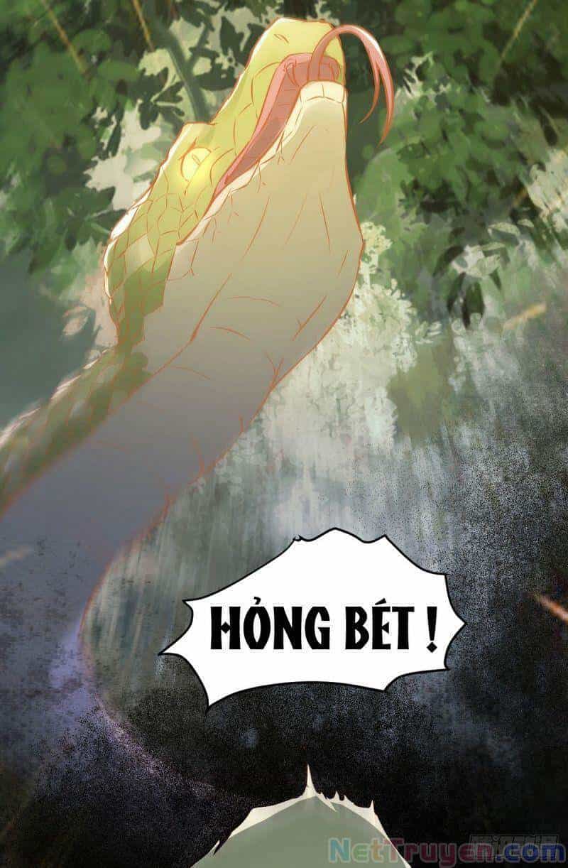 Sát Thủ Vương Phi Không Dễ Chọc - Chương 79 - ảnh 12