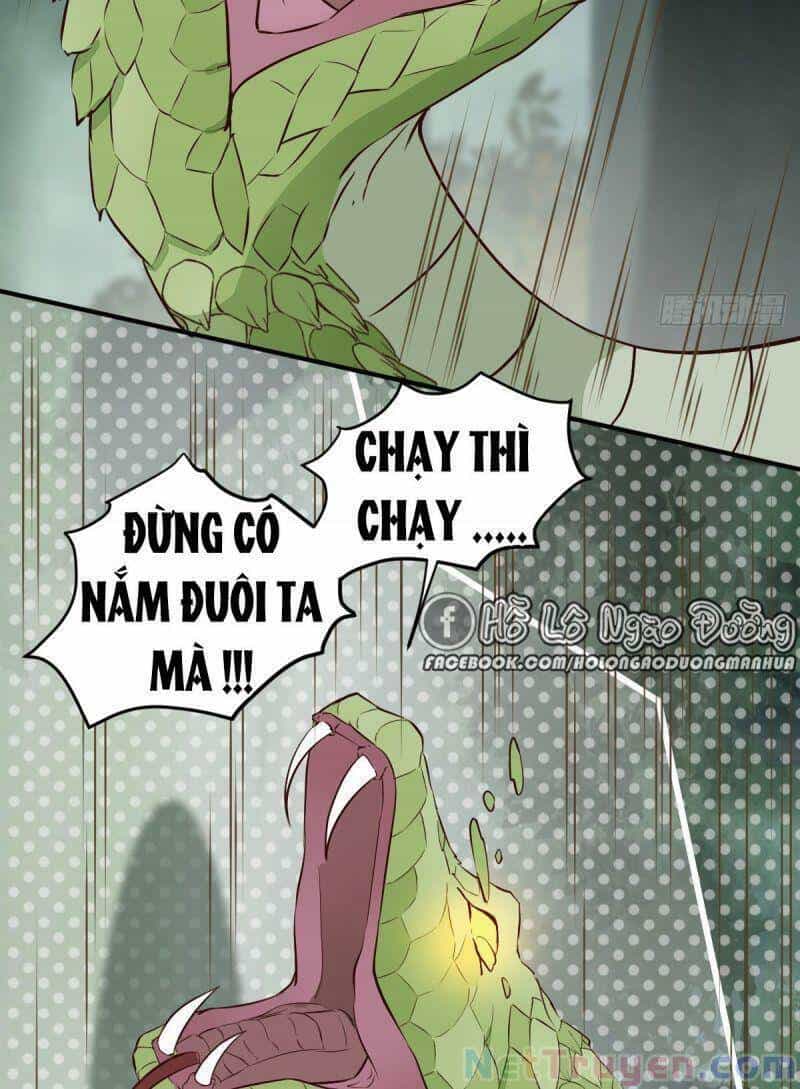 Sát Thủ Vương Phi Không Dễ Chọc - Chương 79 - ảnh 21