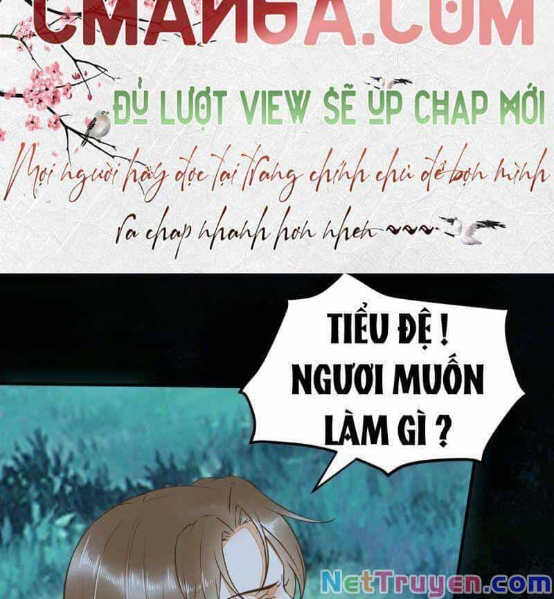 Sát Thủ Vương Phi Không Dễ Chọc - Chương 82 - ảnh 28