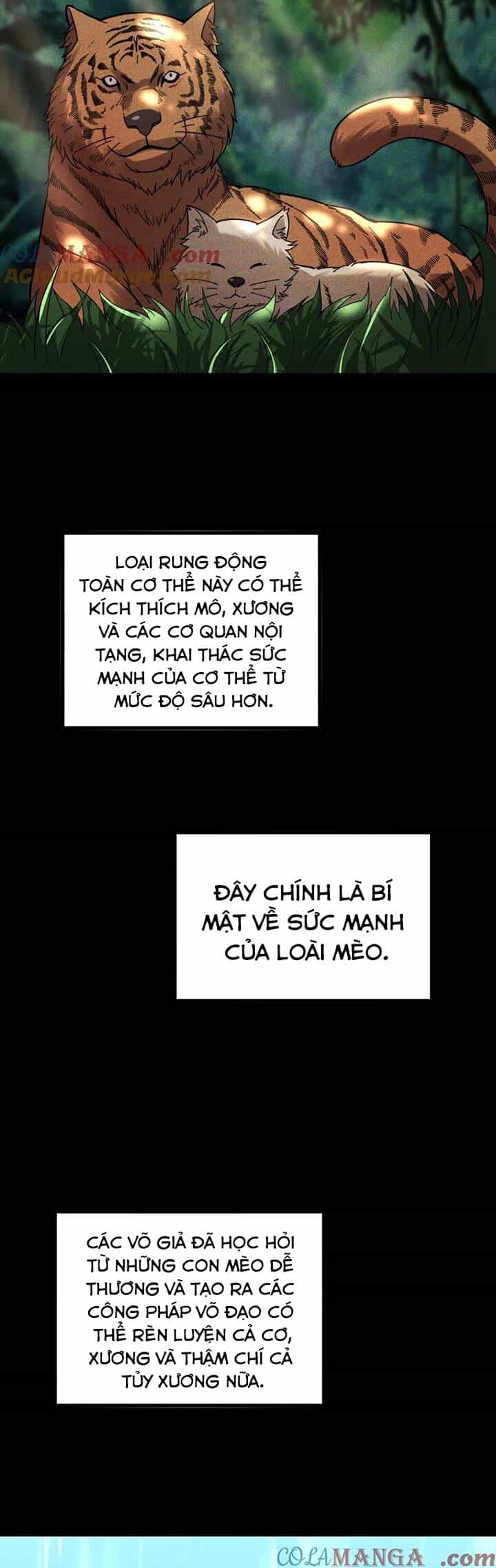 Sau Khi Chết, Ta Trở Thành Võ Đạo Thiên Ma - Chương 26 - ảnh 5