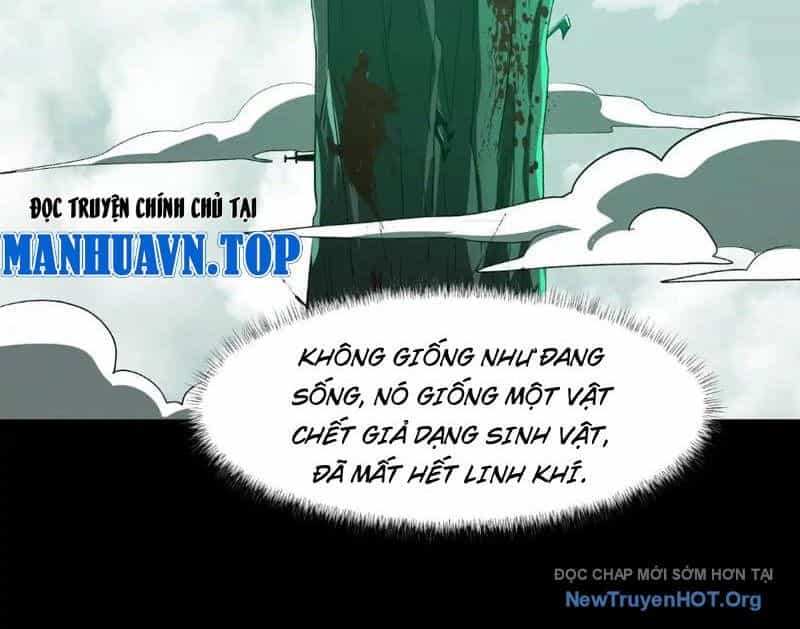 Sau Khi Chia Tay Hoa Khôi, Võ Đạo Của Ta Thẳng Tới Cấp Thần - Chương 13 - ảnh 28