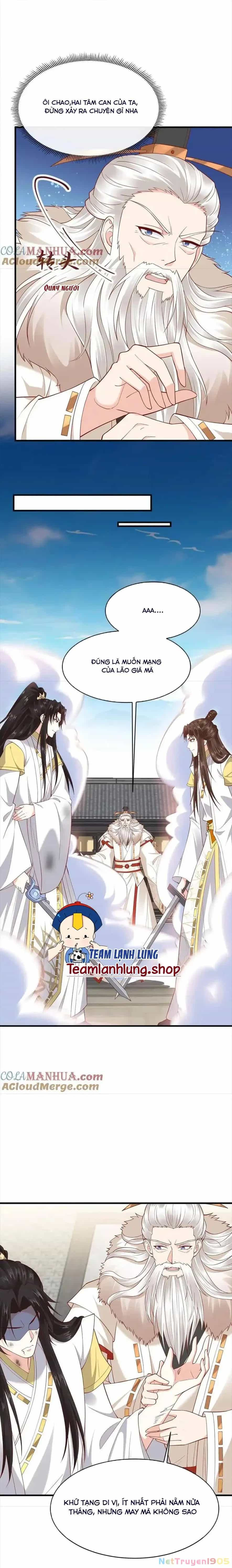 Sau Khi Không Ngừng Tìm Đường Chết, Ta Trở Thành Đế Tôn Vạn Người Mê - Chương 183.186 - ảnh 5