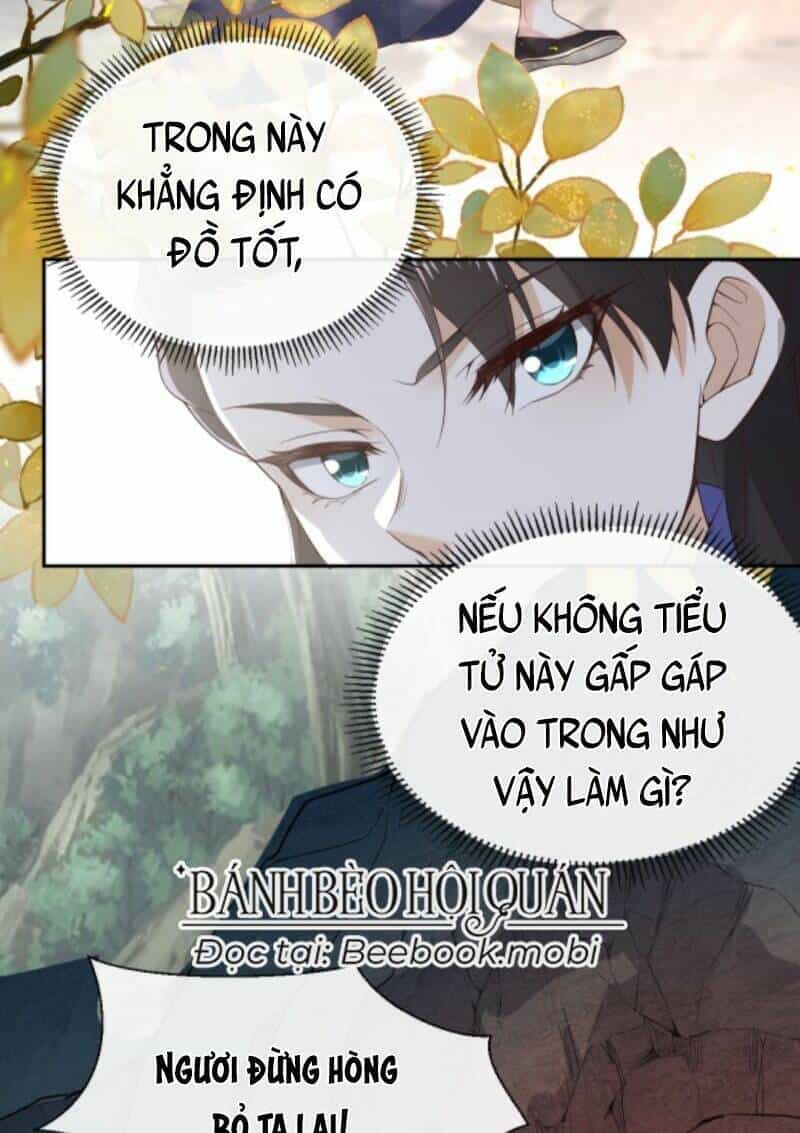 Sau Khi Không Ngừng Tìm Đường Chết, Ta Trở Thành Đế Tôn Vạn Người Mê - Chương 19 - ảnh 13