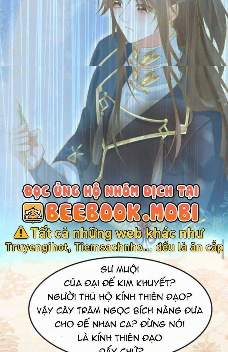 Sau Khi Không Ngừng Tìm Đường Chết, Ta Trở Thành Đế Tôn Vạn Người Mê - Chương 50 - ảnh 12