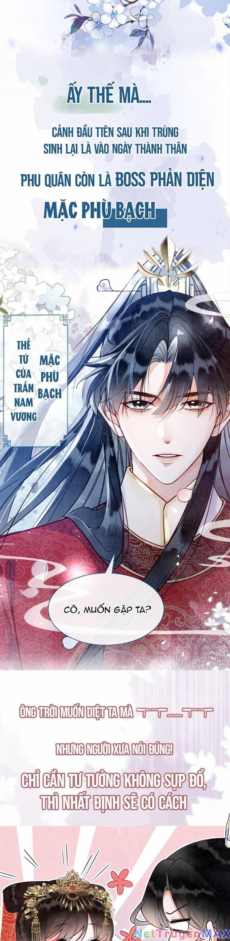 Sau Khi Nàng Bị Đánh Chết, Các Anh Trai Đều Hối Hận! - Chương 0 - ảnh 4