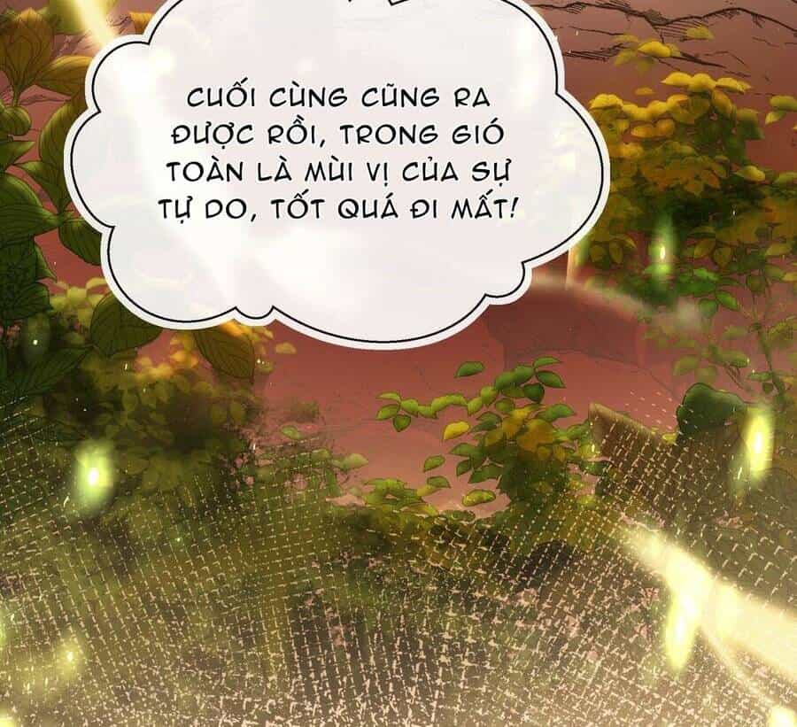 Sau Khi Nhặt Được Trứng Rồng, Ta Quyết Định Nuôi Hắn Trở Nên Xấu Xa - Chương 1 - ảnh 19