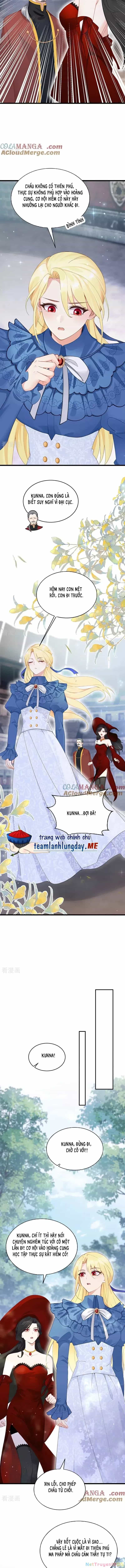 Sau Khi Nhường Lại Thiên Phú, Ta Trở Thành Bảo Bối Của Giới Pháp Thuật - Chương 21 - ảnh 5