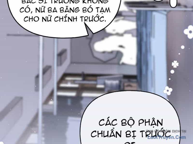 Sau Khi Xuyên Không Thành Thiên Kim Giả, Ta Lấy Lòng Thiên Kim Thật Sống Qua Ngày - Chương 4 - ảnh 4