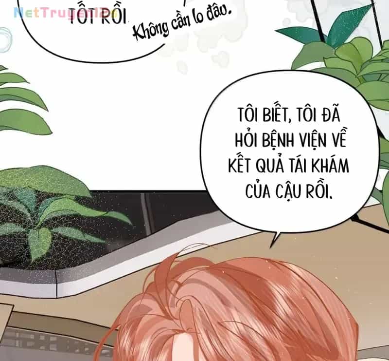 Sau Khi Xuyên Không Thành Thiên Kim Giả, Ta Lấy Lòng Thiên Kim Thật Sống Qua Ngày - Chương 48 - ảnh 46