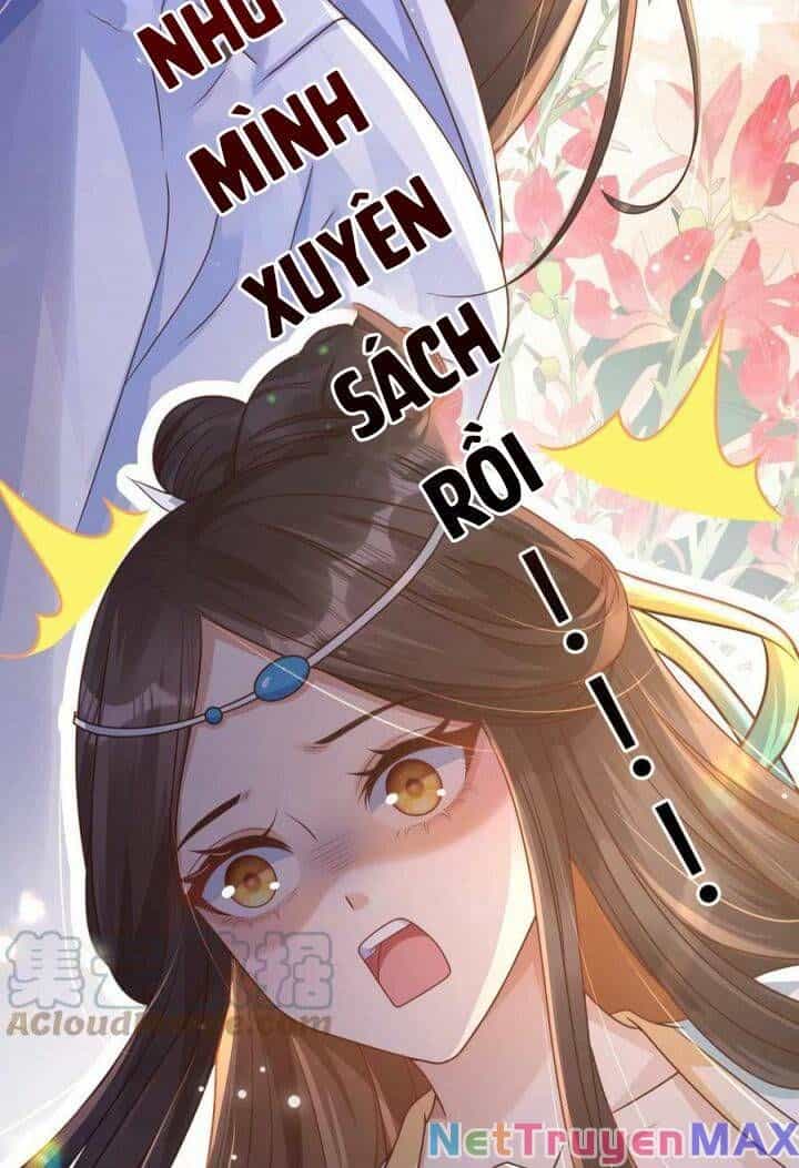 Sau Khi Xuyên Sách, 5 Nhân Cách Của Bạo Quân Đều Yêu Ta - Chương 1 - ảnh 8