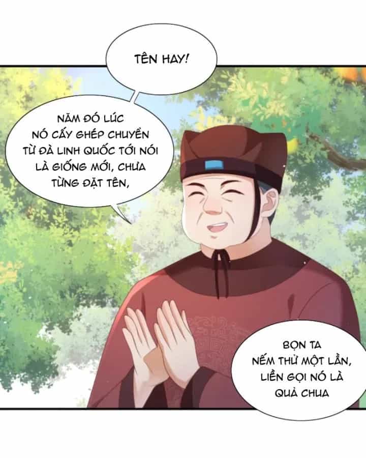 Sau Khi Xuyên Sách, 5 Nhân Cách Của Bạo Quân Đều Yêu Ta - Chương 131 - ảnh 16