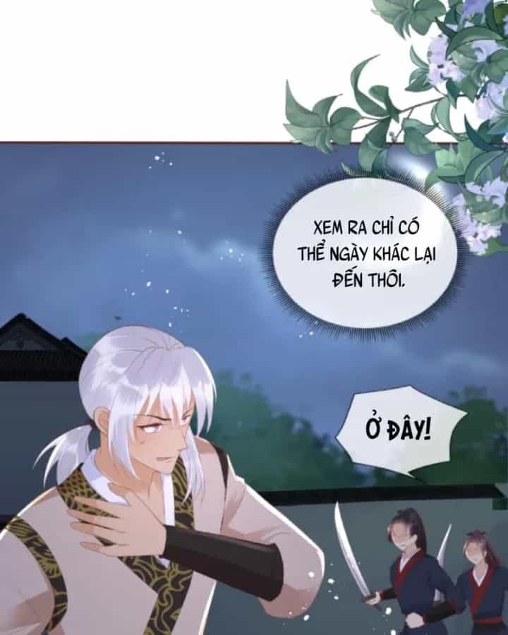 Sau Khi Xuyên Sách, 5 Nhân Cách Của Bạo Quân Đều Yêu Ta - Chương 149 - ảnh 32