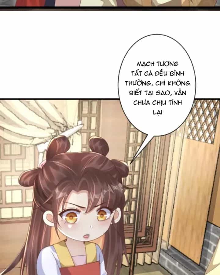 Sau Khi Xuyên Sách, 5 Nhân Cách Của Bạo Quân Đều Yêu Ta - Chương 248 - ảnh 24