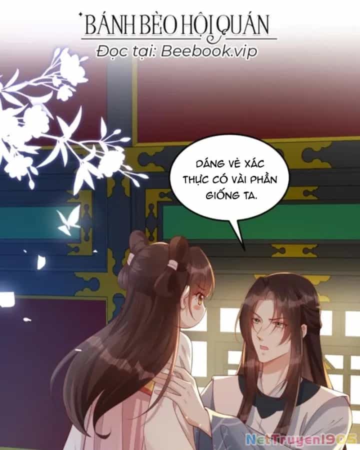 Sau Khi Xuyên Sách, 5 Nhân Cách Của Bạo Quân Đều Yêu Ta - Chương 249 - ảnh 4