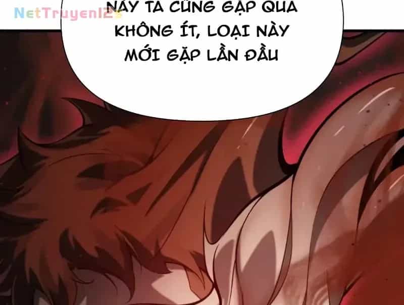 Sau Khi Xuyên Vào Game Kết Liễu Boss Thành Công Đứng Nhất - Chương 59 - ảnh 49