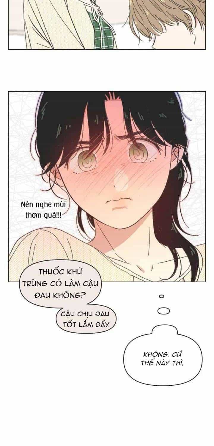 Seasons Of Lovesome - Chương 61 - ảnh 25