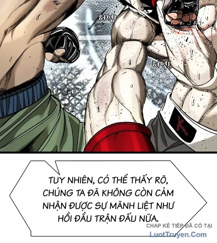 Shark - Cá Mập - Chương 394 - ảnh 22