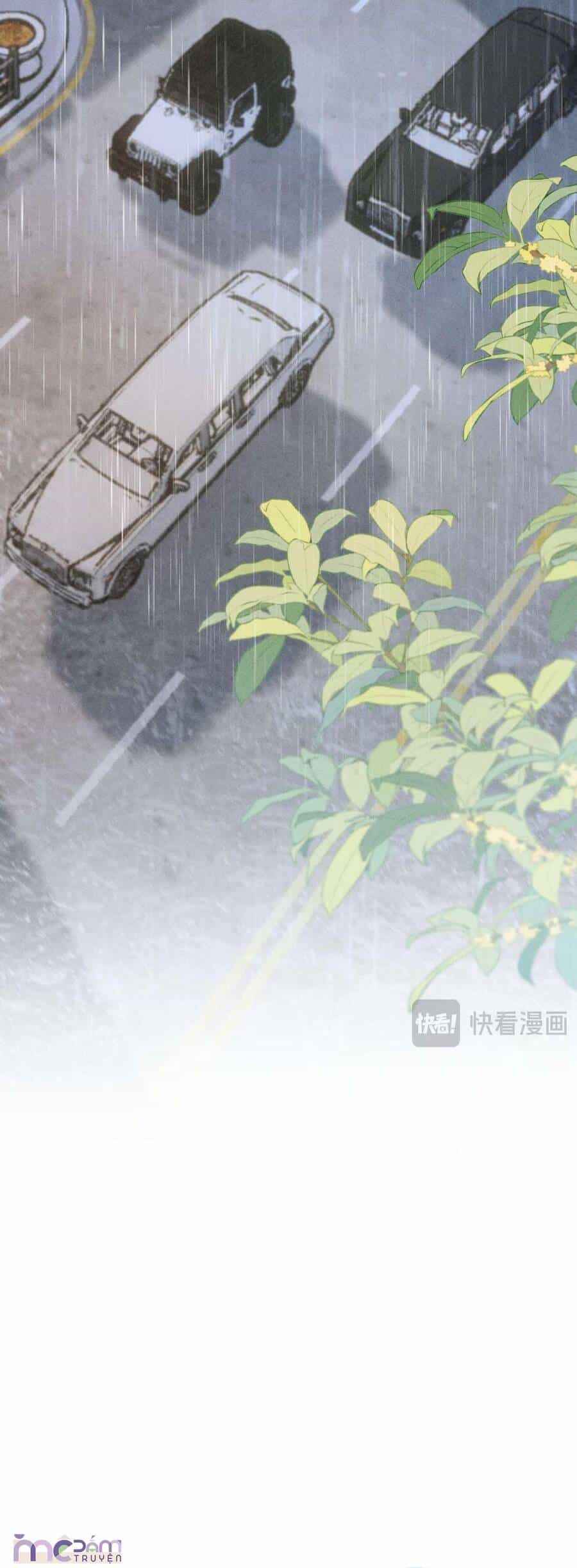 Siêu Cấp Cưng Chiều - Chương 16 - ảnh 15