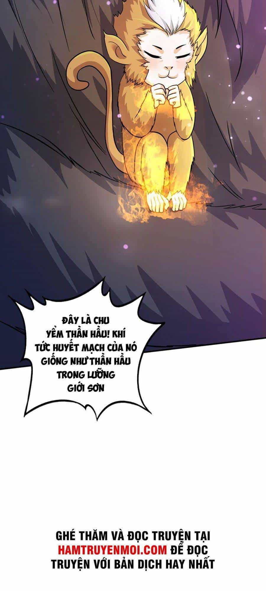 Siêu Cấp Thần Y Tại Đô Thị - Chương 268 - ảnh 37