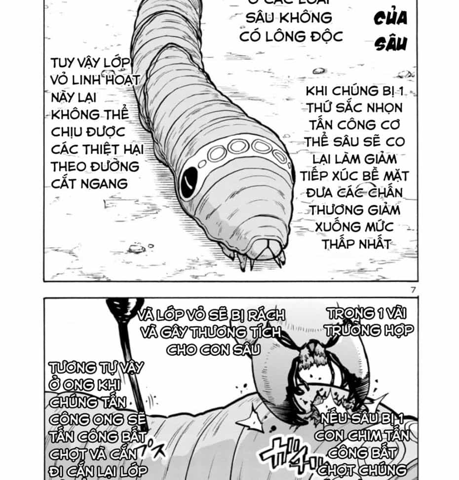 Siêu Đảo Côn Trùng - Chuong 35.5 - ảnh 8