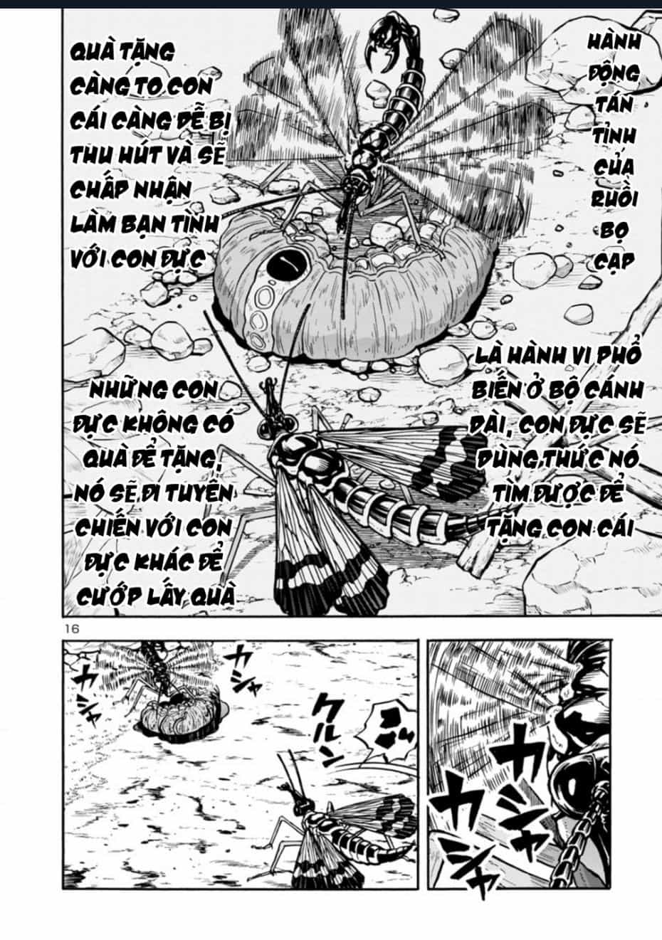 Siêu Đảo Côn Trùng - Chương 37 - ảnh 18