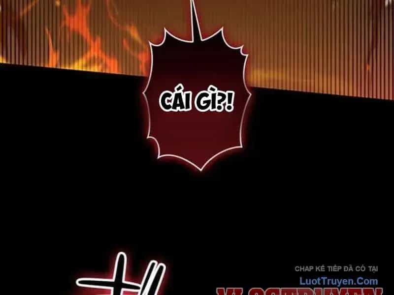 Siêu Trộm Kỹ Năng Cấp Cheat - Chương 24 - ảnh 164