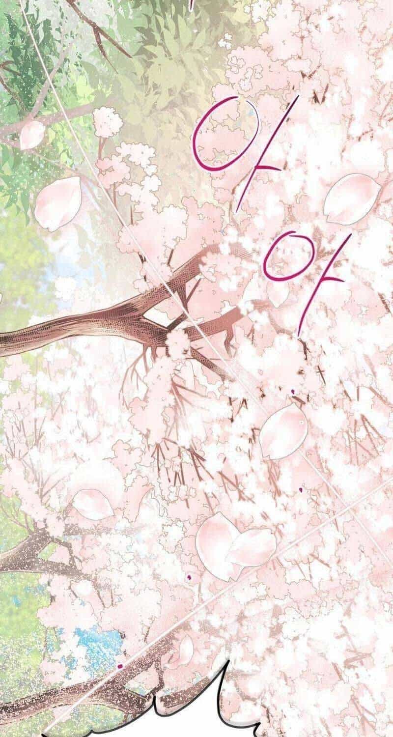 Sinh Tồn Trong Cuốn Tiểu Thuyết Romance Fantasy - Chương 11 - ảnh 22