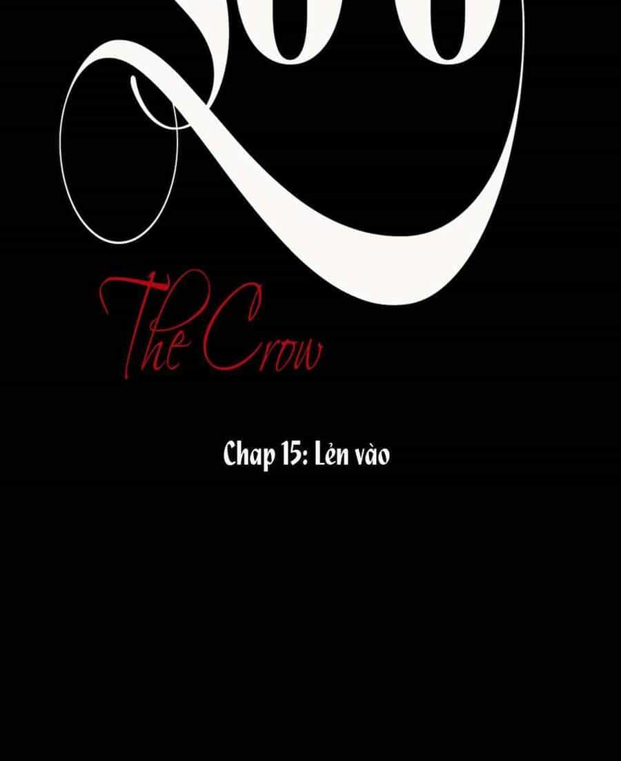 Sở Ô - Chương 15 - ảnh 7
