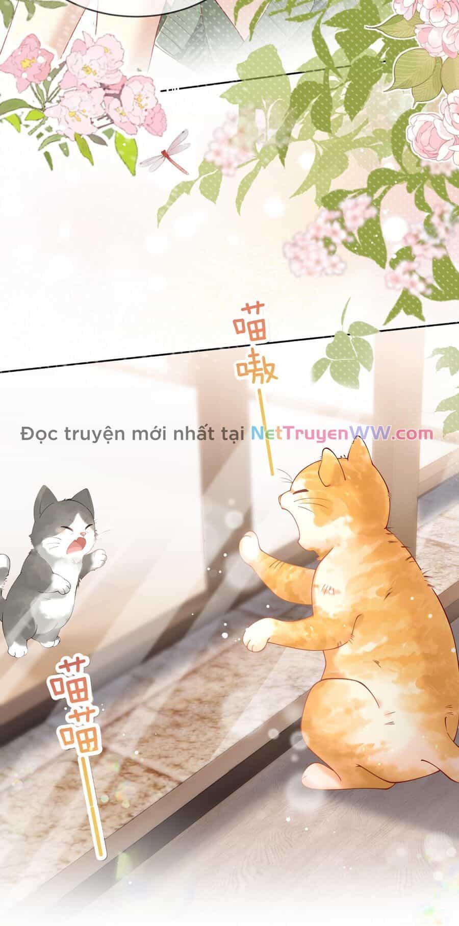 Sổ Tay Tâm Ý - Chương 1 - ảnh 3