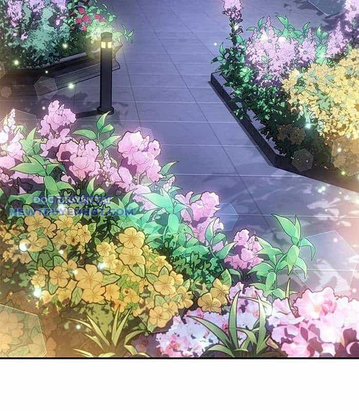 Solo Leveling Arise: Nguồn Gốc Của Thợ Săn - Chương 12 - ảnh 19