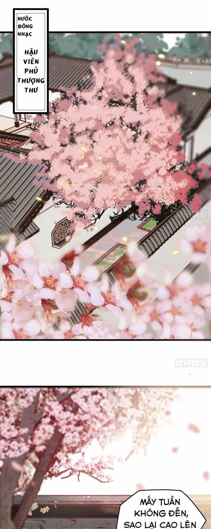Song Thế Sủng Phi - Chương 2 - ảnh 2