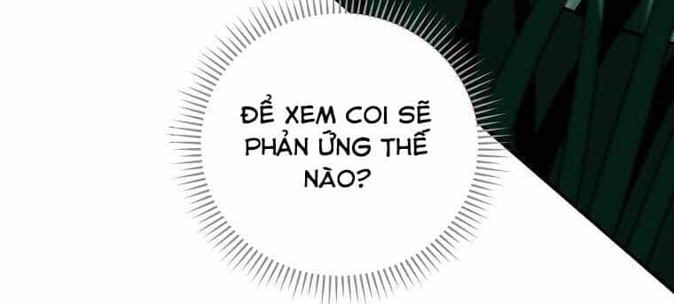 Streamer Pháp Sư - Chương 30 - ảnh 37
