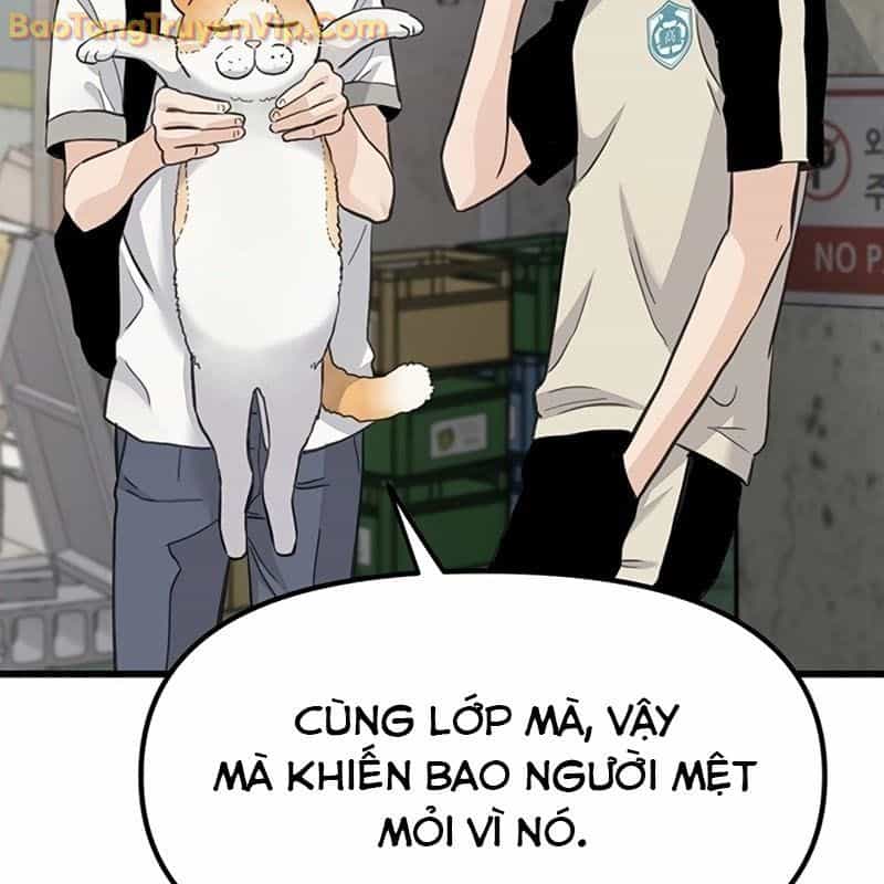 Sự Bí Ẩn Của Học Sinh Chuyển Trường - Chương 0 - ảnh 83