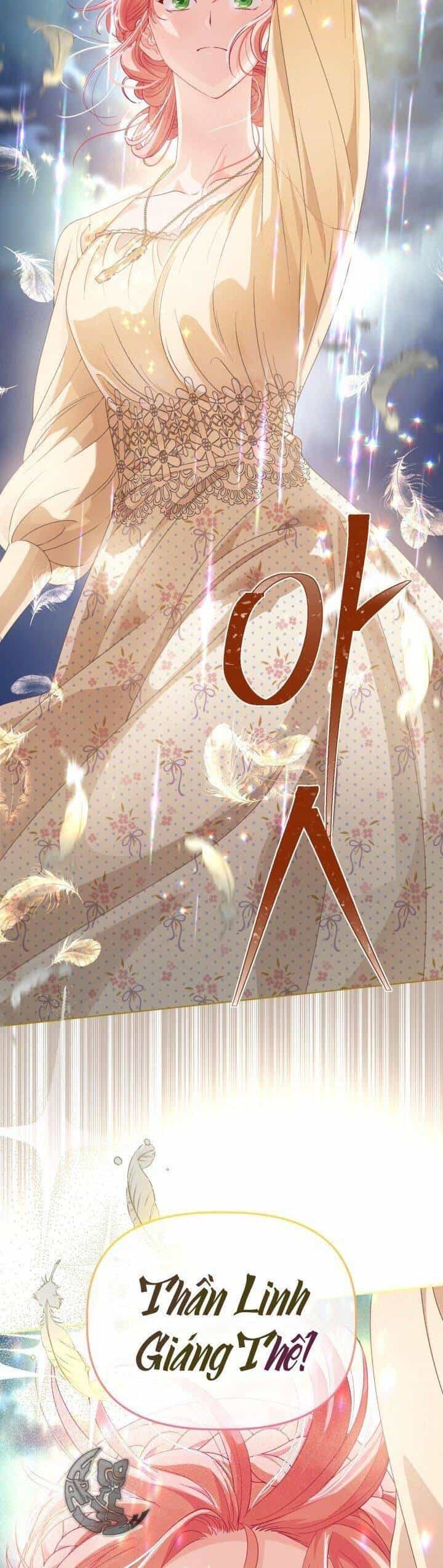 Sự Điều Trị Đặc Biệt Của Tinh Linh - Chương 65 - ảnh 30