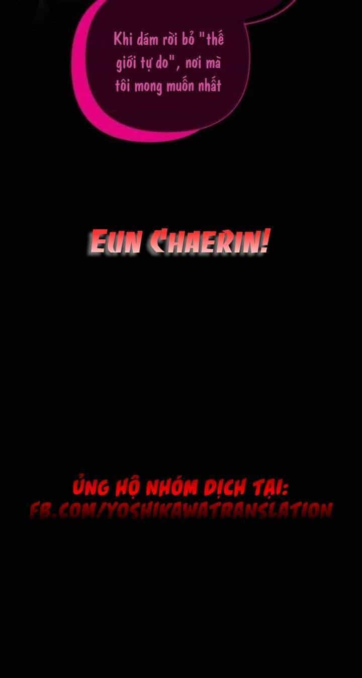 Sự Lãng Mạn Còn Tồn Tại - Chương 50 - ảnh 92