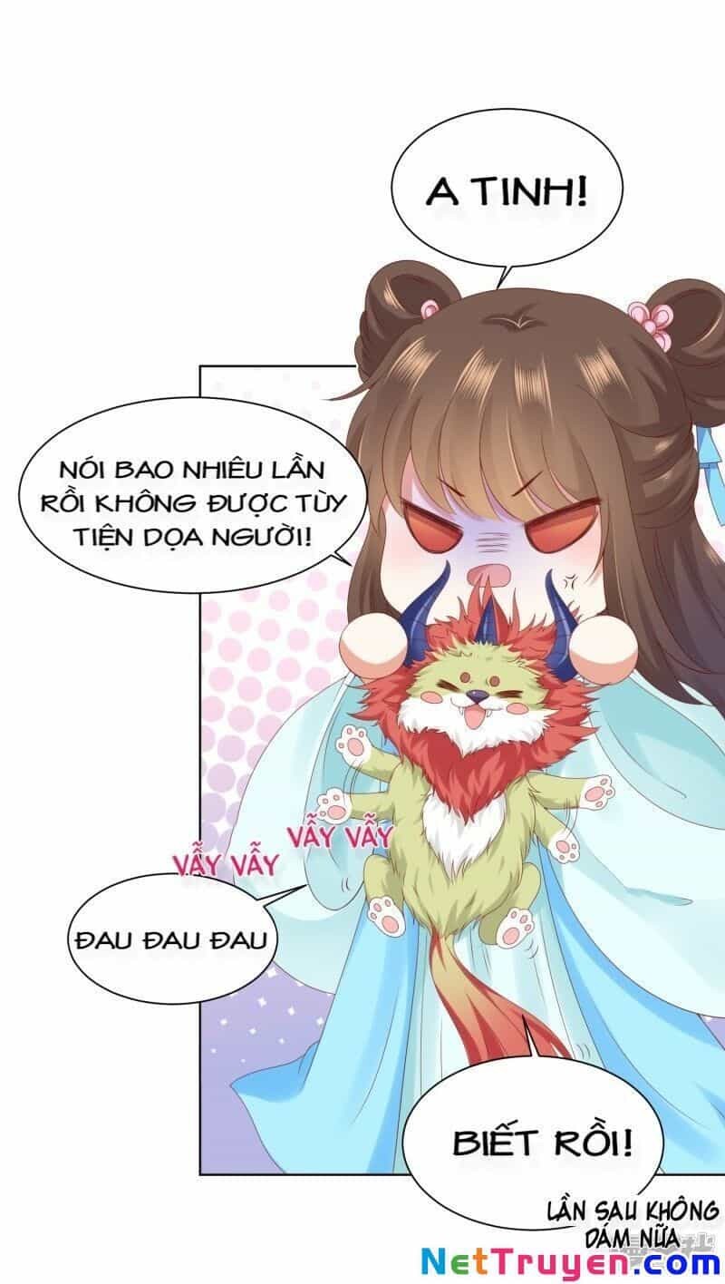 Sư Phụ, Cái Kia Ăn Ngon! - Chương 58 - ảnh 5