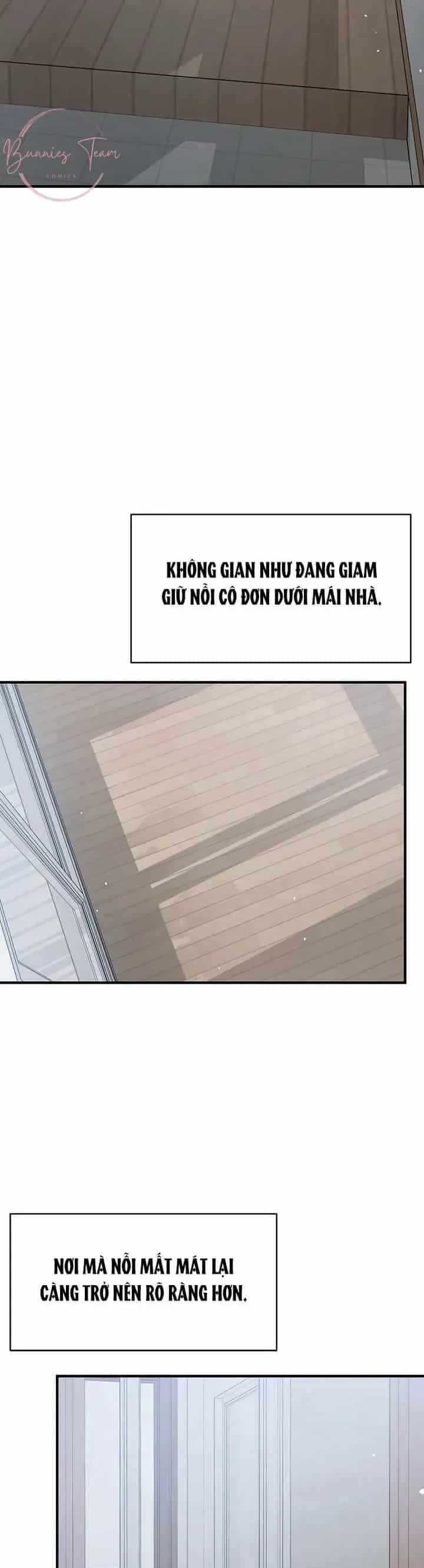 Sự Thâm Nhập Dịu Dàng - Chương 2 - ảnh 19