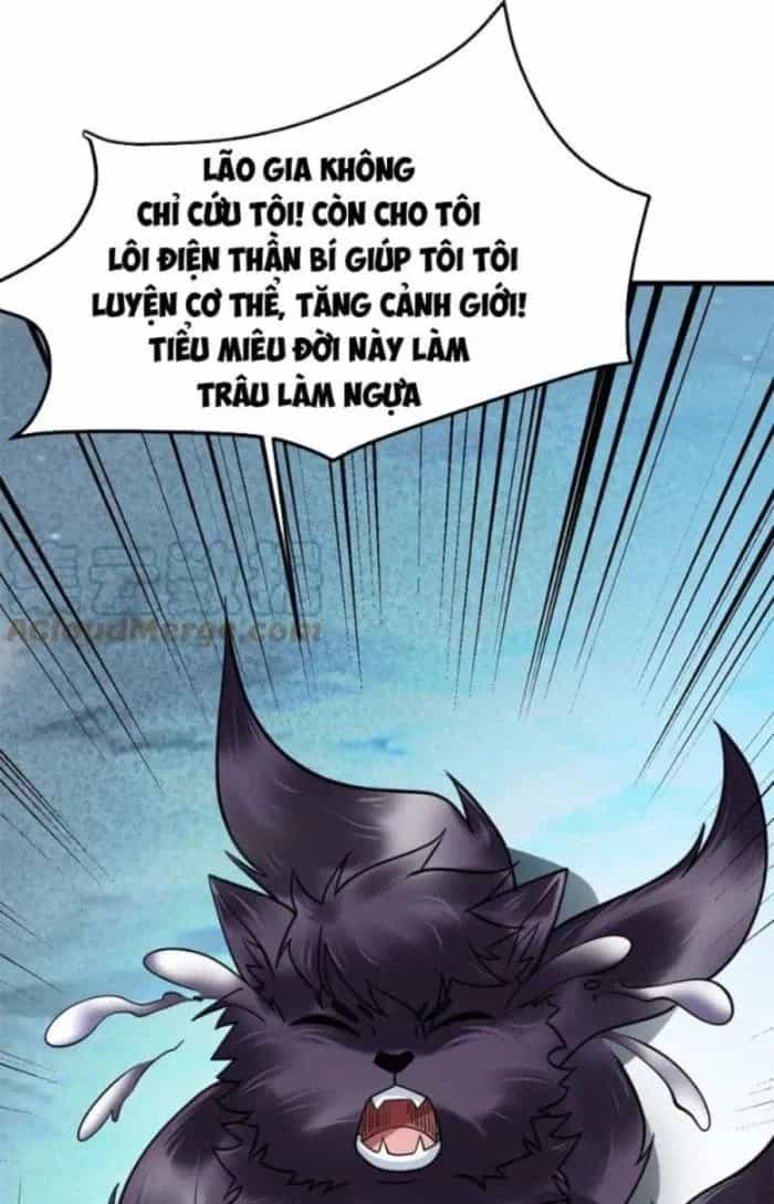 Sư Tổ Của Ta Là Thiên Hạ Đệ Nhất - Chương 41 - ảnh 38