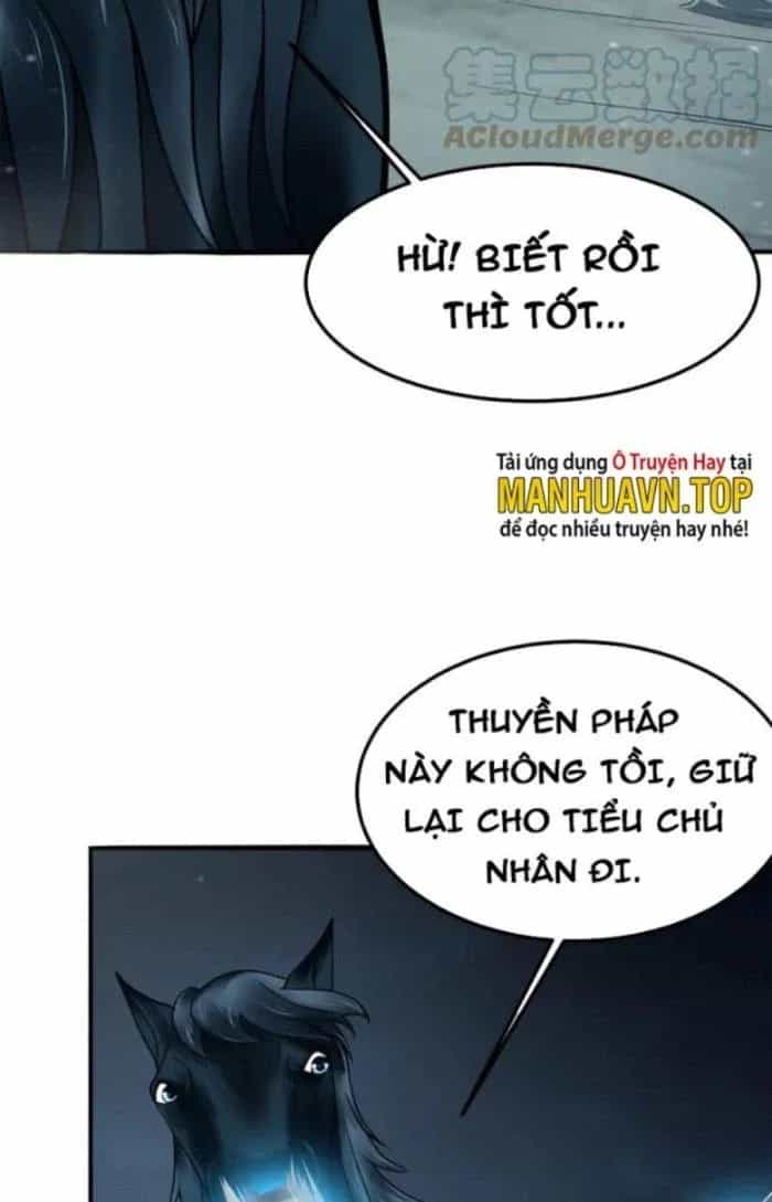 Sư Tổ Của Ta Là Thiên Hạ Đệ Nhất - Chương 49 - ảnh 14