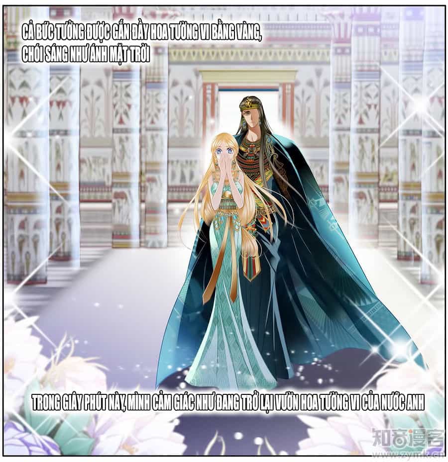 Sủng Phi Của Pharaoh - Chương 51 - ảnh 14