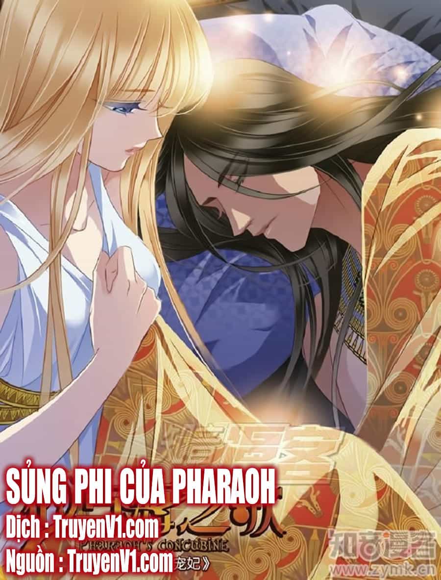 Sủng Phi Của Pharaoh - Chương 54 - ảnh 1