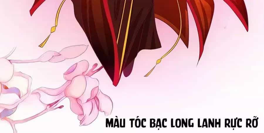 Sủng Thê Cuồng Ma Của Minh Vương Điện Hạ - Chương 3 - ảnh 5