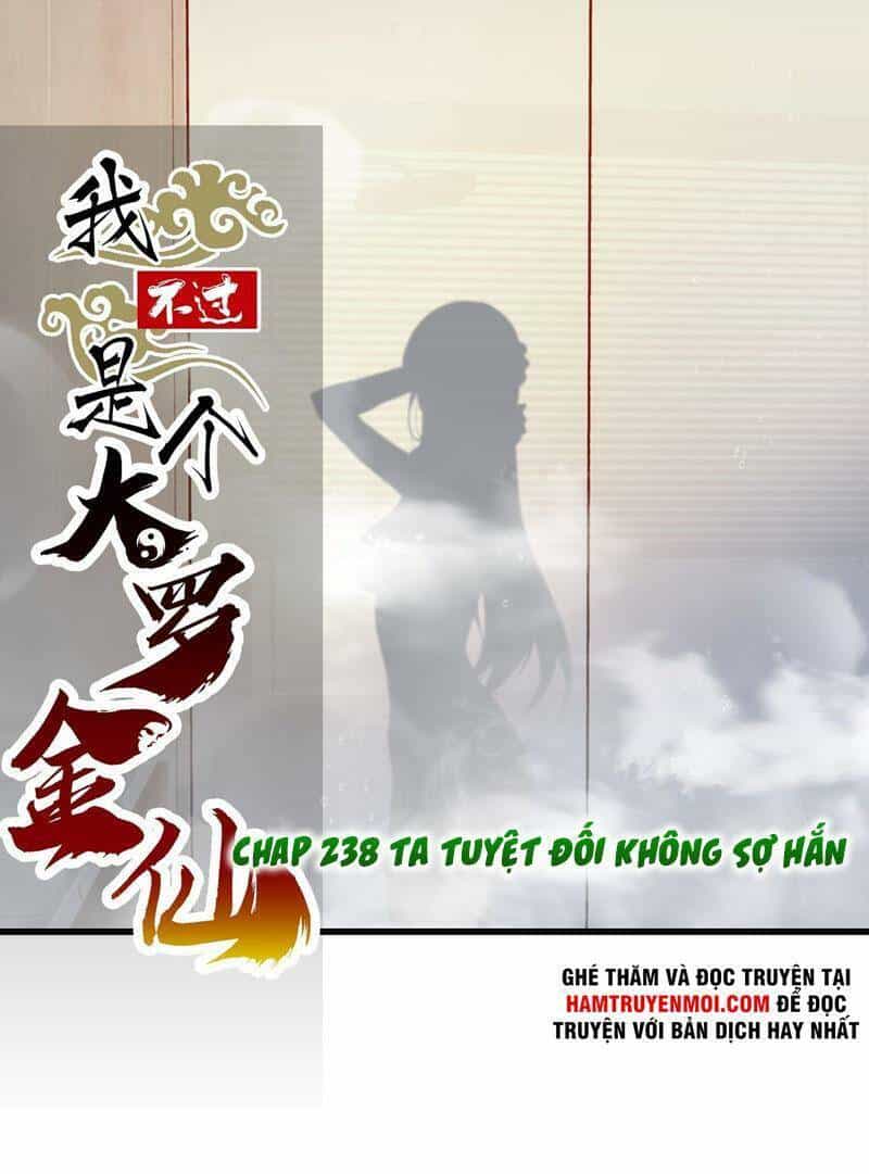 Ta Chẳng Qua Là Một Đại La Kim Tiên - Chương 238 - ảnh 1