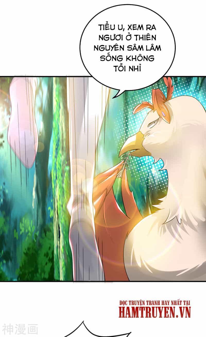 Ta Có Chín Nữ Đồ Đệ - Chương 71 - ảnh 32