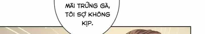Ta Có Thể Thấy Tỉ Lệ Thành Công - Chương 229 - ảnh 24