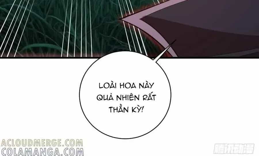 Ta Dựa Vào Hậu Cung Chinh Phục Thế Giới - Chương 69.4 - ảnh 20